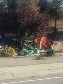 高速道路のキャンプ場化が止まらない