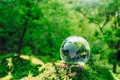 カネカ、三本珈琲、星野リゾート、東興ジオテック【SDGsパートナー継続企業紹介】