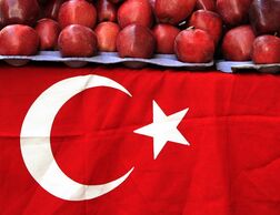 トルコ第1四半期ＧＤＰ、2.5％増　3四半期連続で伸び鈍化