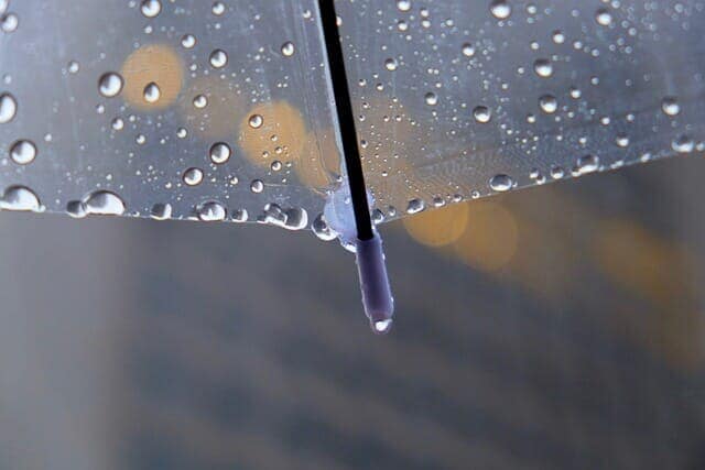 ビニール傘に付いた雨粒