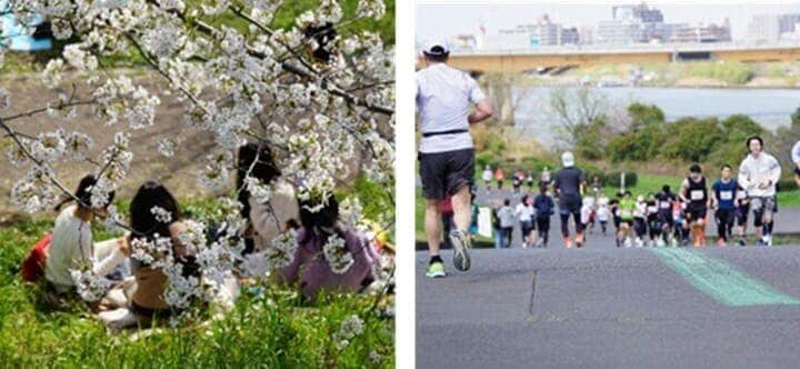 荒川沿岸の景色