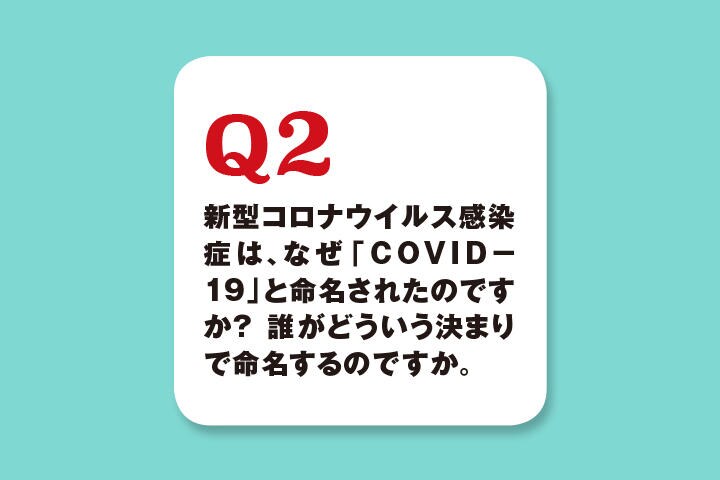 ニューズウィーク日本版特別編集ムック「COVID-19のすべて」15ページより