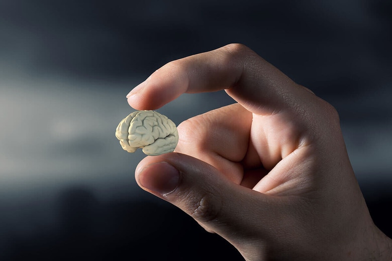 胎児の脳から作成した実際のミニ脳は米粒ほどの大きさ（写真はイメージです）　Sergey Nivens-Shutterstock