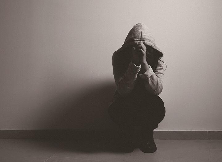 FILADENDRON／ISTOCK