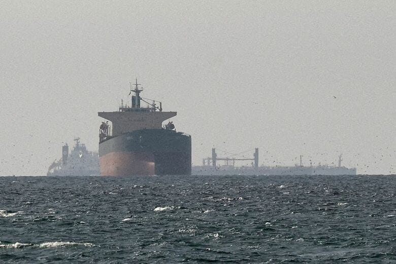 アラブ首長国連邦（UAE）北部ラスアルハイマから見たホルムズ海峡近くの貨物船。３月撮影