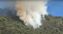 焼失するコロンビアの自然 エルニーニョ現象発生が与える影響
