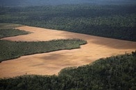 「アグリビジネスのショーケース」と批判されたCOP30...アマゾン開催が「皮肉」だったワケ