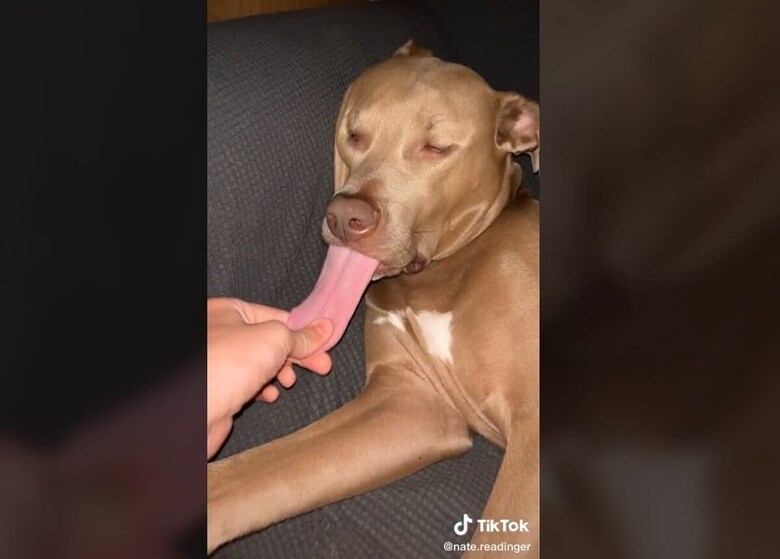 @nate.readinger/TikTok