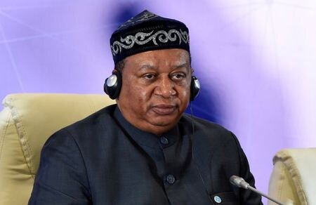 石油輸出国機構（ＯＰＥＣ）のバルキンド事務局長は１６日、原油の需給について、早ければ１２月にも供給過剰になり、来年もその状態が続くとの見通しを示した。２０１９年撮影。（２０２１年　ロイター/Mariya Gordeyeva//File Photo）