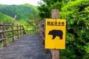 もしもクマに出逢ったら？　「100％安全」という正解はないが、避けるべき反応・行動がある　ImagingL-shutterstock