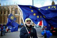 「英国を丸裸にするEU離脱はもう止めて」ケンブリッジ大の女性博士が裸の訴え