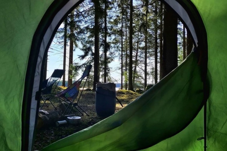 キャンプで楽しむ野生との出会い（写真はイメージです）　Felix-Unsplash