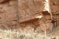 【動画】とげ状の突起に覆われた恐竜、ハオロン・ドンギ