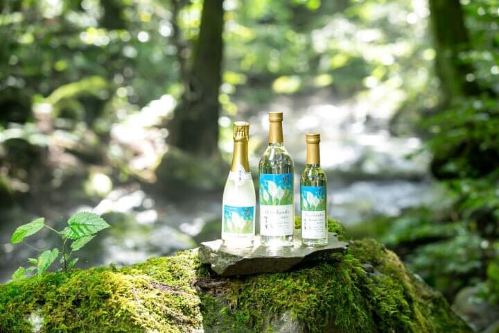 MIZUBASHO Artist Series