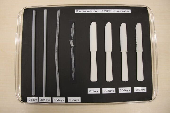 Green Planetが生分解される様