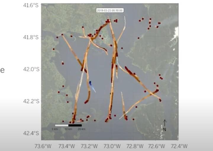 船を避けて右往左往するシロナガスクジラ　Centro Ballena Azul-Twitter