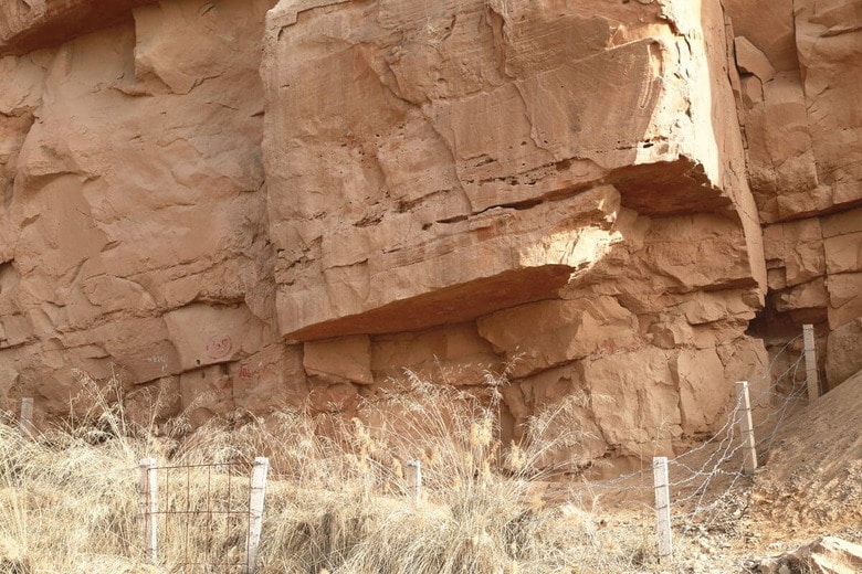 中国ではよく化石が発掘される。写真は甘粛省で発見された白亜紀の恐竜の足跡　CFOTO/Sipa USA-REUTERS