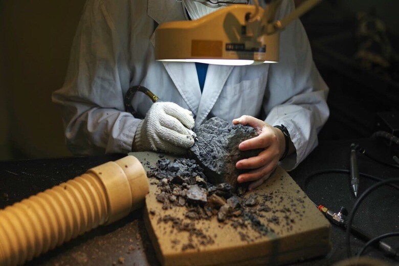 嘔吐物の化石から見つかった新発見とは（写真はイメージ）　gorosan-shutterstock