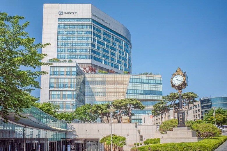 ソウルの新村（シンチョン）にある延世大学医科大学の付属病院セブランス病院では研修医600人の実に99％が退職届を提出した。　撮影：佐々木和義