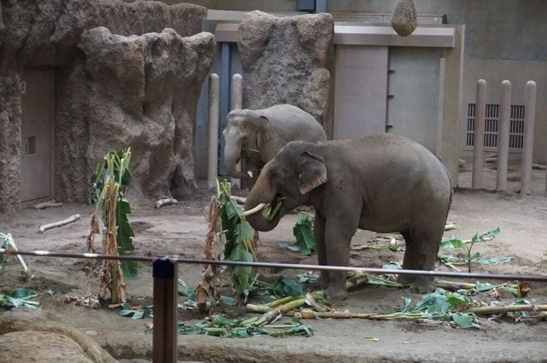 マッチングの結果、これまでなら廃棄されていた農産資源が動物園の動物に「餌」として提供されている