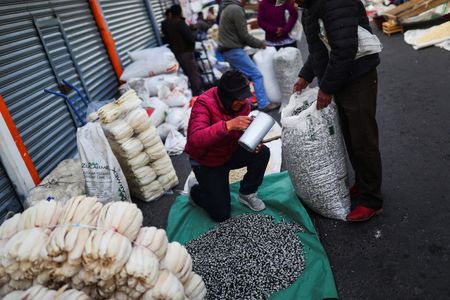 　メキシコ国家統計地理情報局が５月２４日発表した５月前半の消費者物価指数（ＣＰＩ）は前月比で０．３２％下落し、前年比上昇率は６％と、２０２１年９月以来１年８カ月ぶりの低い伸びにとどまった。写真はメヒコ州の市場でトウモロコシを売る男性。２０２２年５月撮影（２０２３年　ロイター/Edgard Garrido）