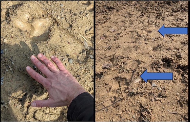 The Bigfoot Field Researchers Organization