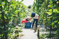 なぜ今、日本でSDGsへの関心が高まっているのか