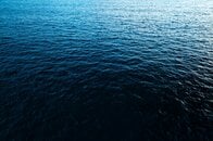深海に沈めたカメラが捉えた巨大な「深海の幽霊」…その不気味すぎる姿にネット民震撼