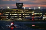 ロシア大統領、首都モスクワ主要空港の保有株売却承認　財政改善狙いか