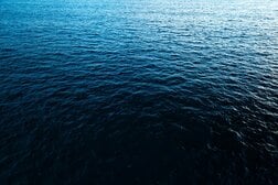 深海に沈めたカメラが捉えた巨大な「深海の幽霊」…その不気味すぎる姿にネット民震撼