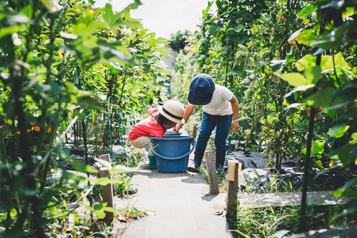 若い人たちが未来をつくり出す時代へ　kohei_hara-iStock.