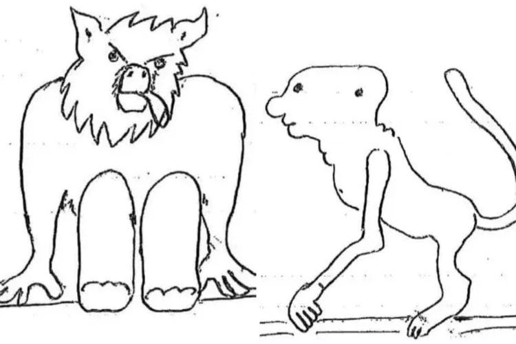 正体不明の生物に遭遇したという目撃者からの聞き取りをもとに作成されたスケッチ／国防総省UFOファイル