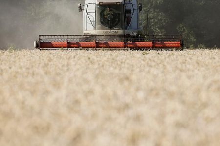 ポーランドが自国の農業部門保護を目的にウクライナからの穀物やその他の食品の輸入禁止を発表したことを巡り、ウクライナは輸入禁止撤回を求める「第一歩」として、１７日からポーランドの首都ワルシャワで行われる協議に参加する。２０２０年７月撮影（２０２３年　ロイター/Valentyn Ogirenko）
