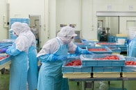 「日本中が人手不足」のウソ...産業界が人口減少を乗り越えてきた奇跡と「様相が一変した」理由