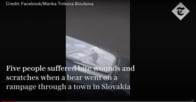 【動画】「こんなに速いのか...」巨大なクマが住民に襲い掛かる恐怖の瞬間　スロバキア