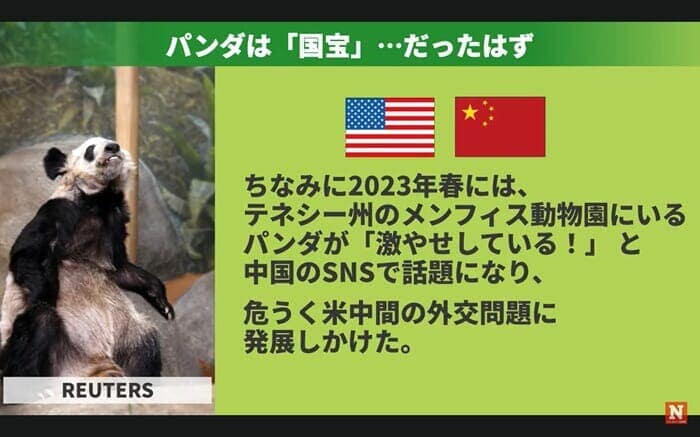 激やせパンダの「YA-YA」