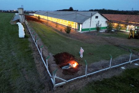 中国政府は、ブラジルでの鳥インフルエンザの発生を受けて、ブラジルからの鶏肉と関連品の輸入を全面的に禁止した。写真は１６日、ブラジル・モンテネグロの養鶏場で撮影（２０２５年　ロイター/Diego Vara）
