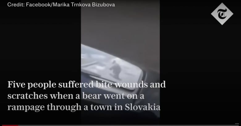 The Telegraph-YouTube