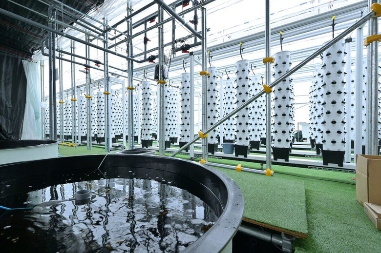 アクポニの海水アクアポニックス施設