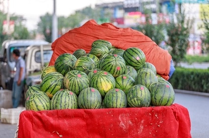 数年前には「スイカ爆発」がニュースになったが、今こそ節度ある報道とメディア・リテラシーが求められている　Spondylolithesis – iStockphoto.com