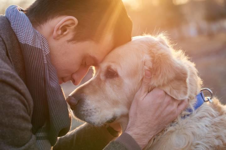 動物の癒しのパワーは大きい（写真はイメージ）　mediaphotos-iStock