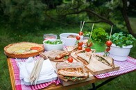 楽しいピクニックが一転、瞬く間にごちそうを平らげた「乱入者」とは....緊迫の瞬間を捉えた至近距離映像