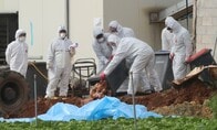 韓国で鳥インフル発生、野鳥から家禽に感染か？