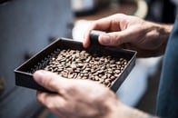 じっくりと寝かせてコクを引き出すエイジド・コーヒーが密かなブームに