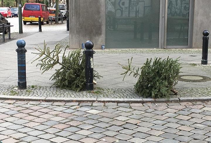 christmasatree5-weihnachtsbaumentsorgung2-720.jpg