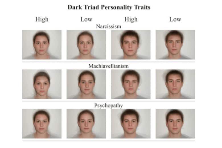 >心理学者ニコラス・ホルツマンが開発した「Faceaurus」データベースの合成画像