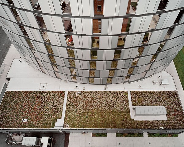 ppgreen04.jpg