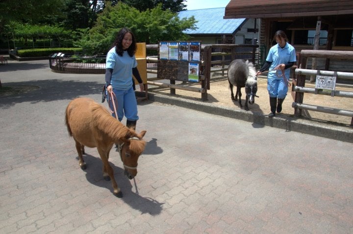 市川市動植物園