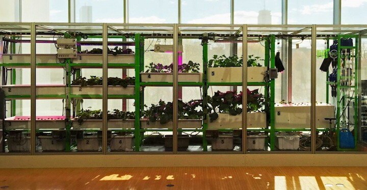 MIT Open Agriculture Initiative