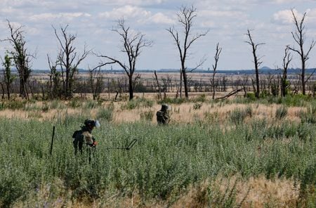 ロシア軍はウクライナ軍との戦闘が続くウクライナ東部ドネツク州で、付近に大規模なリチウム鉱床があるとされる集落を制圧した。写真は同州で２４日撮影（２０２５年　ロイター/Alexander Ermochenko）